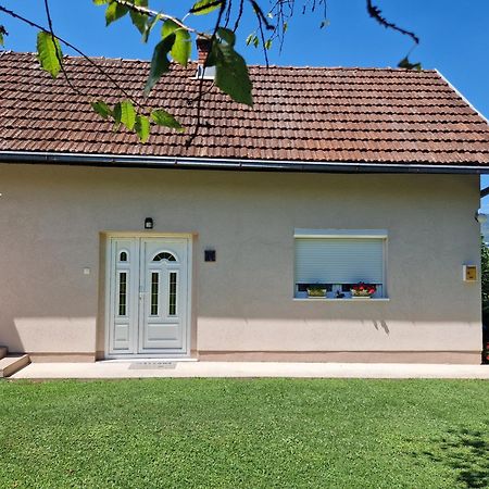 Kuca Za Odmor Dm Villa Bajina Basta Exteriör bild