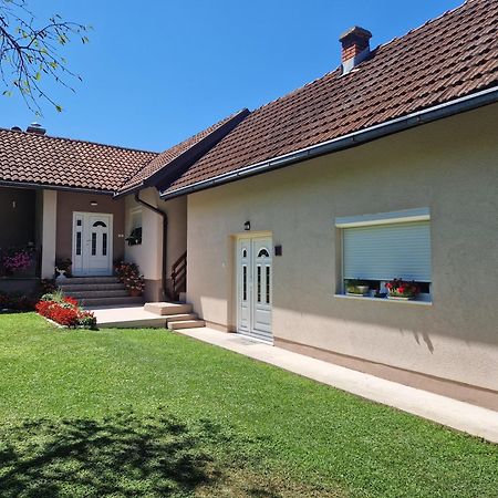Kuca Za Odmor Dm Villa Bajina Basta Exteriör bild