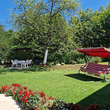 Kuca Za Odmor Dm Villa Bajina Basta Exteriör bild