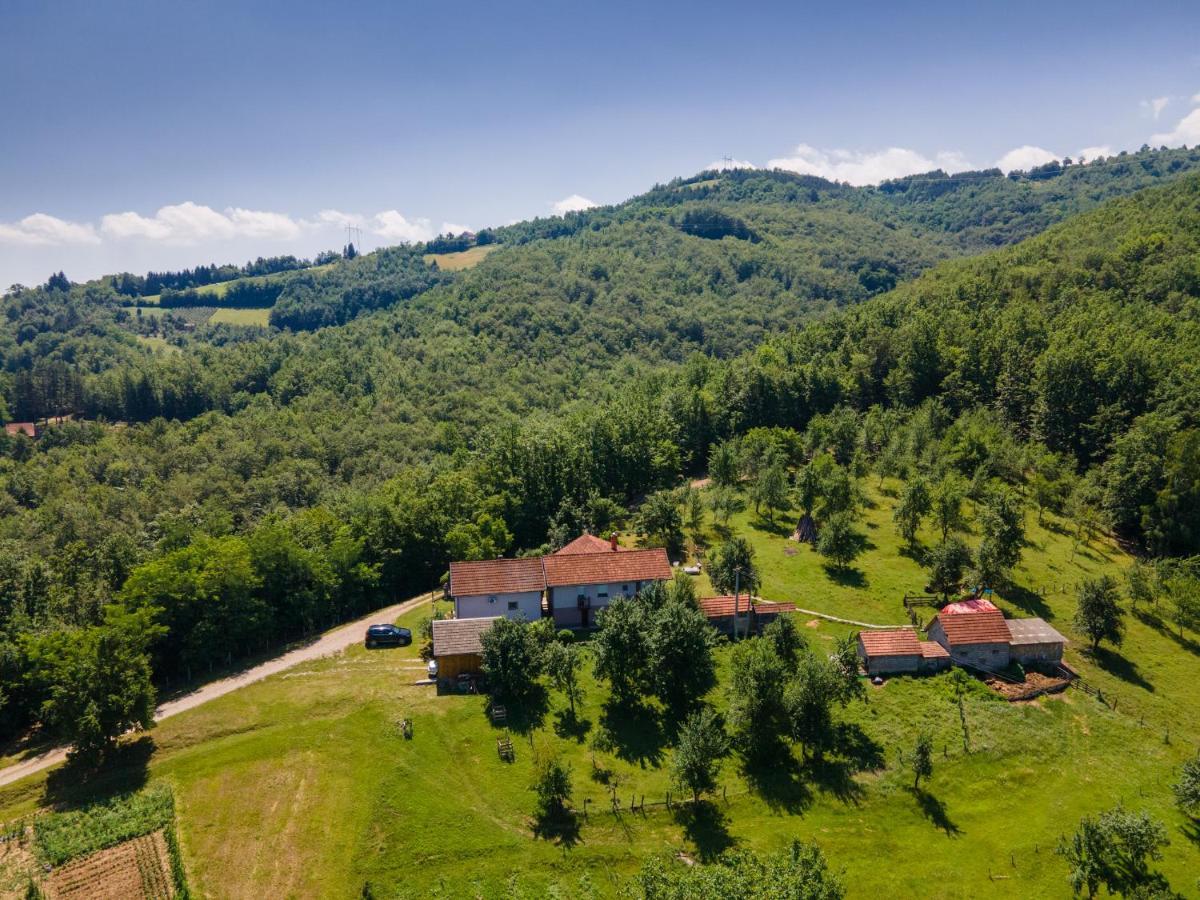 Kuca Za Odmor Dm Villa Bajina Basta Exteriör bild