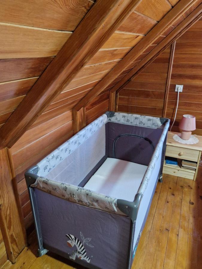 Kuca Za Odmor Dm Villa Bajina Basta Exteriör bild